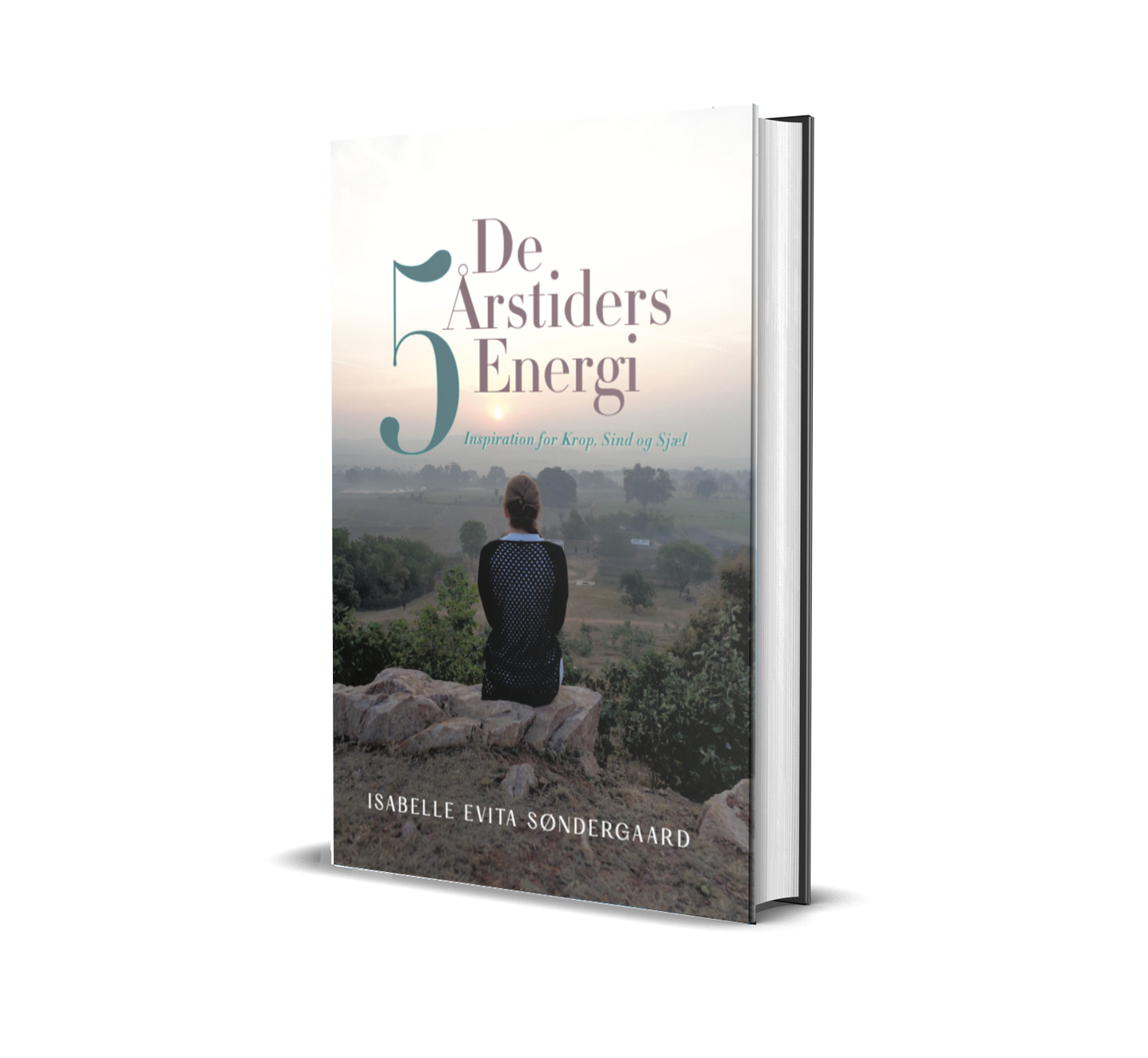 Printed book: The 5 Seasons' Energy - 3 copies