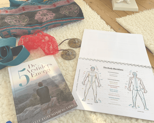 Traditionel Kinesisk Medicin – de 5 Elementers Teori