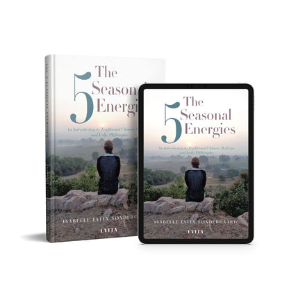 Printed book and e-book: The 5 Seasons of Energy