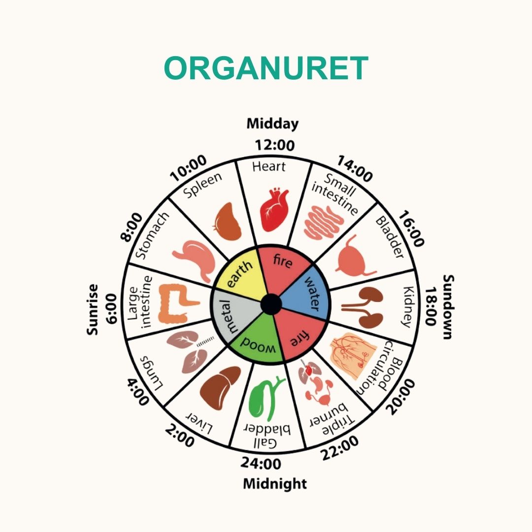 Trykt bog og e-bog: De 5 Årstiders Energi