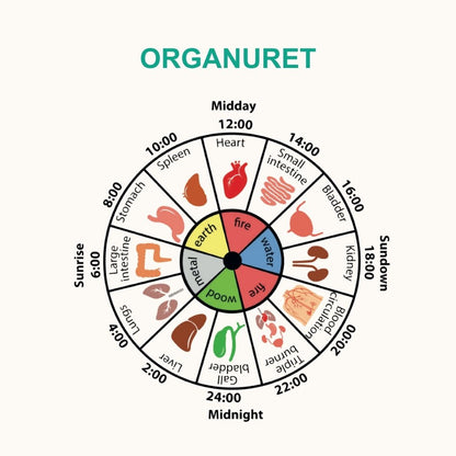 Trykt bog og e-bog: De 5 Årstiders Energi