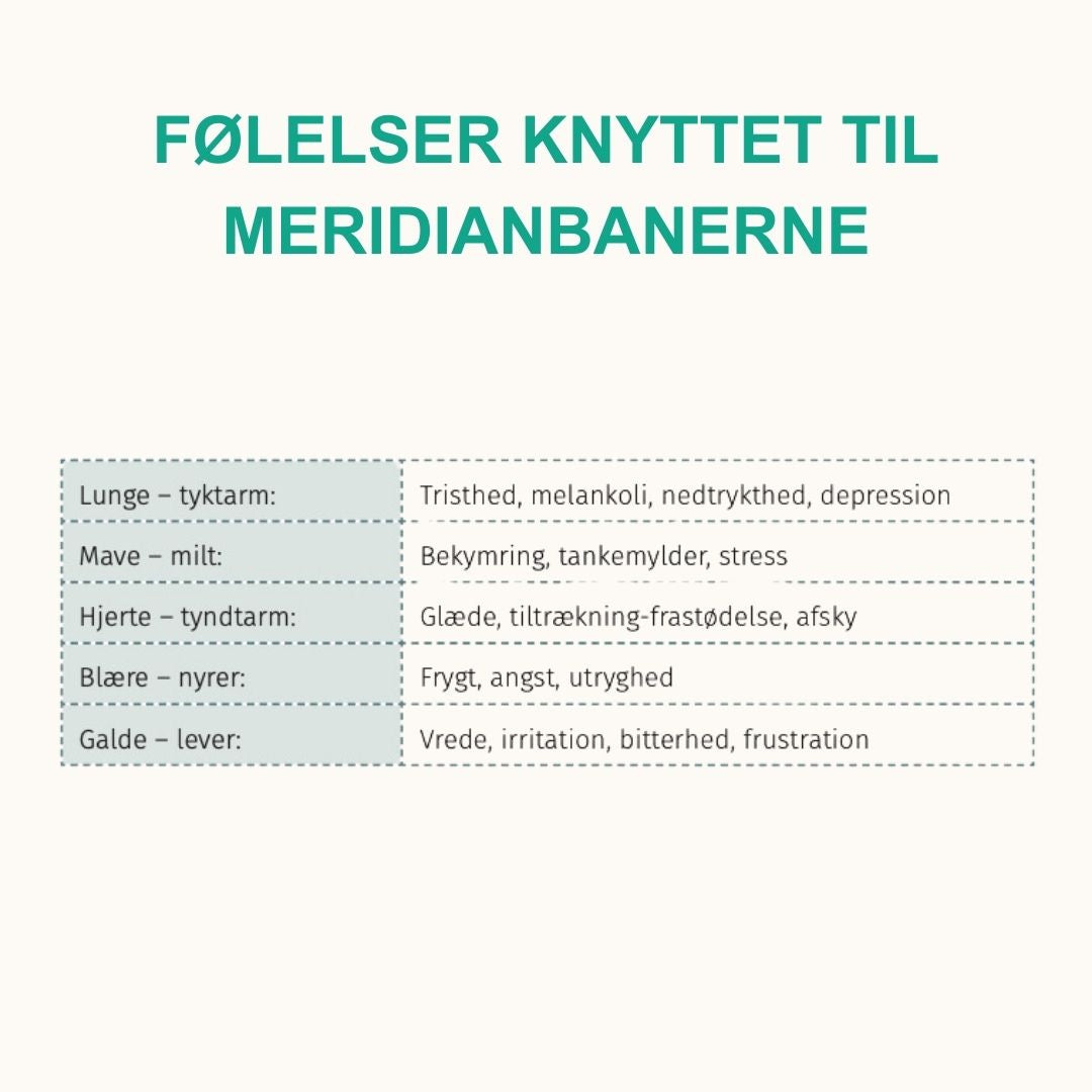 Trykt bog og e-bog: De 5 Årstiders Energi