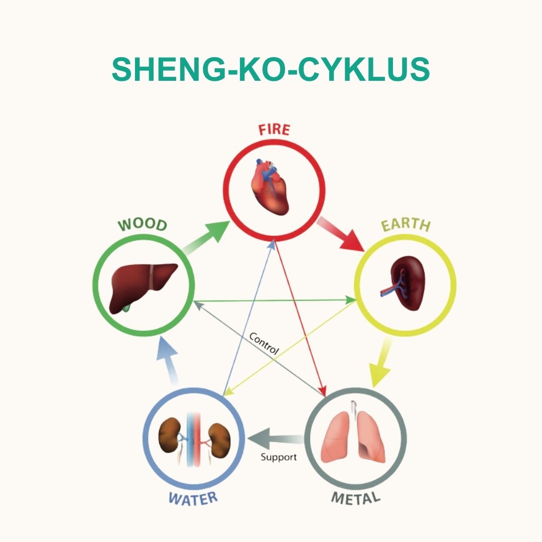 Trykt bog og e-bog: De 5 Årstiders Energi