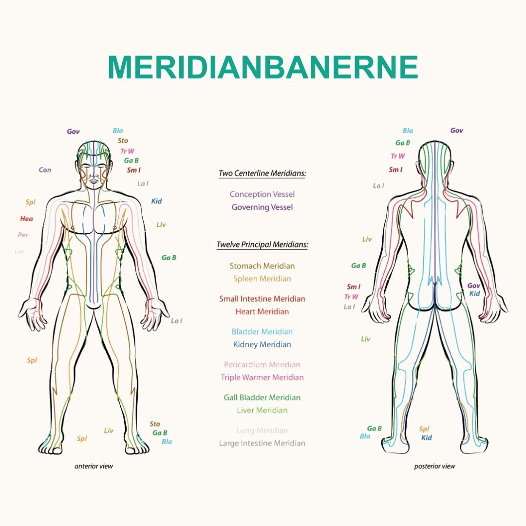 Trykt bog og e-bog: De 5 Årstiders Energi