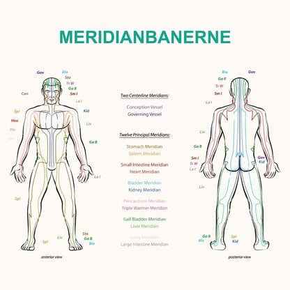 Trykt bog og e-bog: De 5 Årstiders Energi