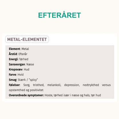 Trykt bog og e-bog: De 5 Årstiders Energi