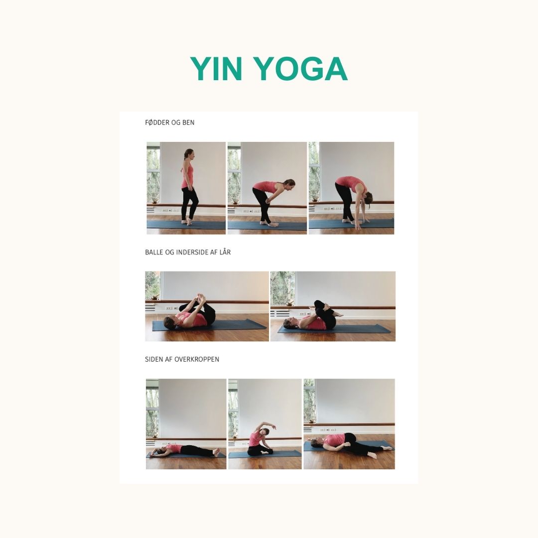 Trykt bog og e-bog: De 5 Årstiders Energi