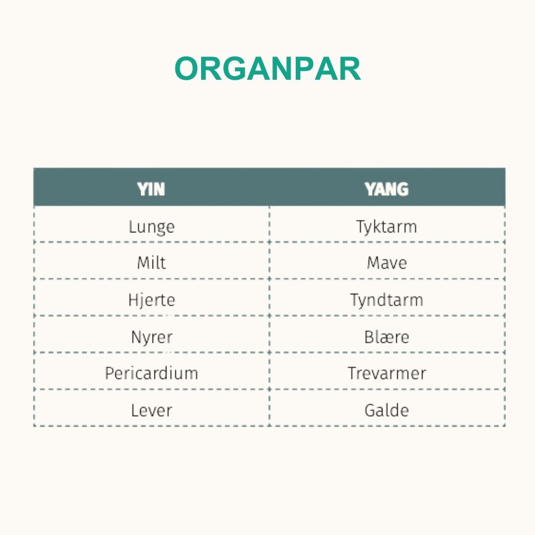 Trykt bog og e-bog: De 5 Årstiders Energi