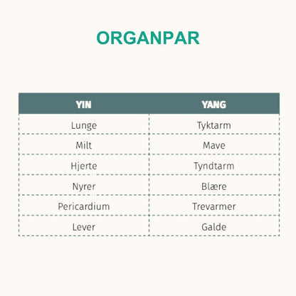 Trykt bog og e-bog: De 5 Årstiders Energi