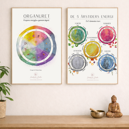 2 Plakater: Organuret + De 5 Årstiders energi