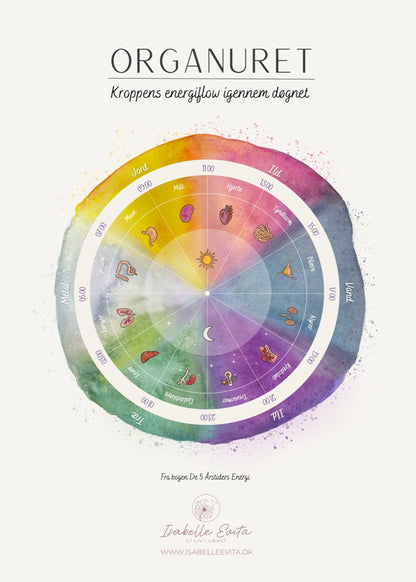 2 Posters: The Organ Clock + The Energy of the 5 Seasons